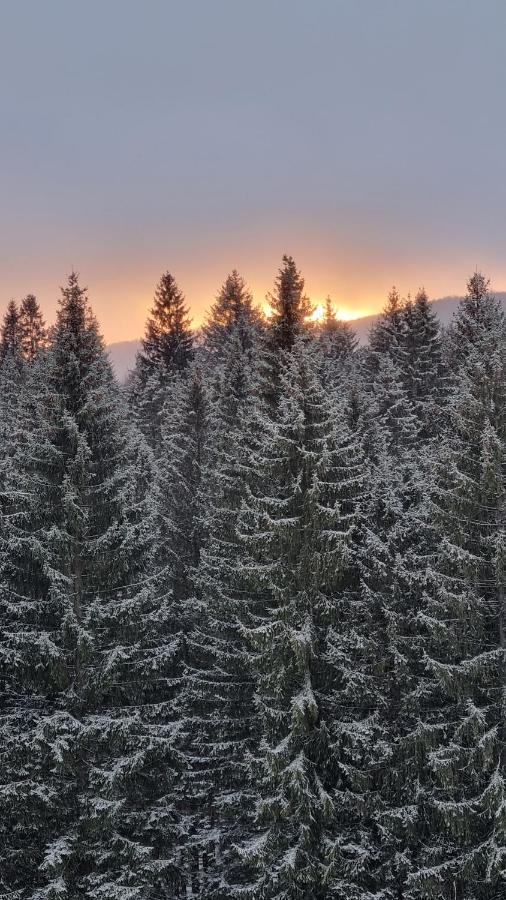 Charming Family Condo In Silver Mountain Poiana Brasov Exteriör bild