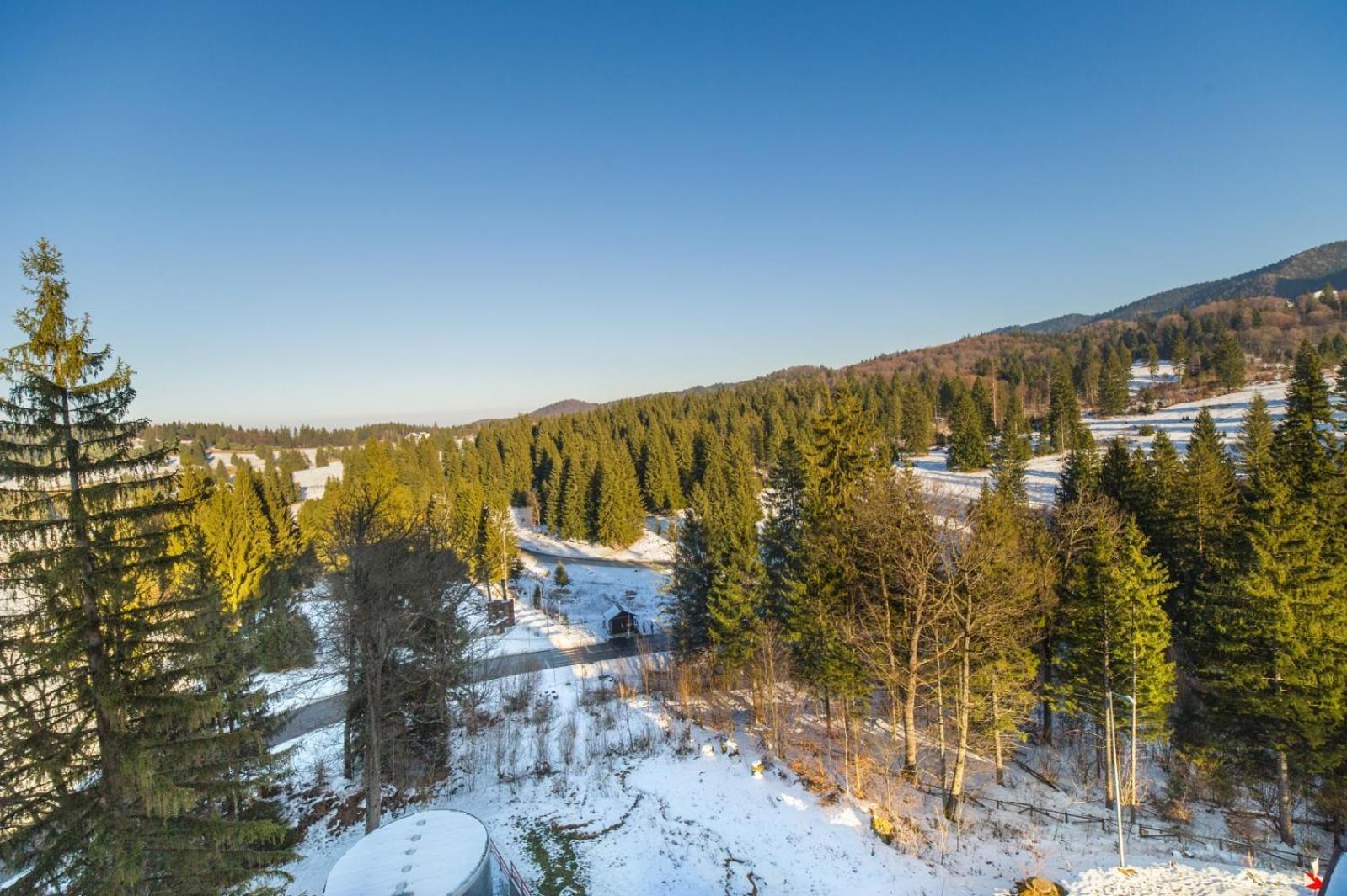 Charming Family Condo In Silver Mountain Poiana Brasov Exteriör bild